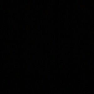 Meet your Posher, Isabelle